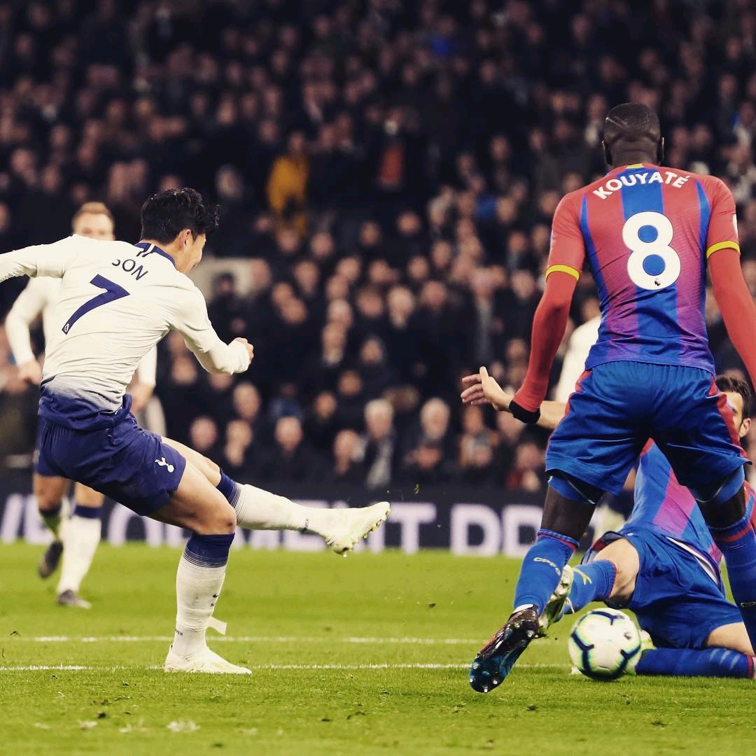 芬兰男篮的 芬兰男篮的